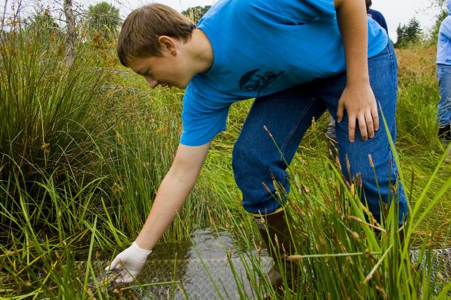 Pond Turtle Release Garrett Brenden by Rachel Gray 7-10.JPG