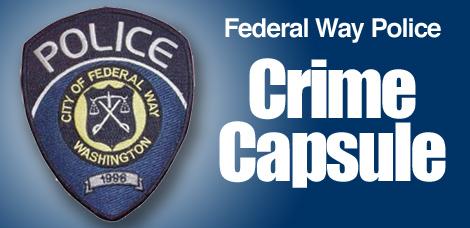 FederalWayPoliceGraphic.jpg