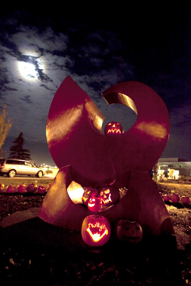 pumpkins 5.jpg