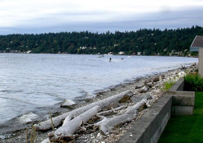 DSC06980_2.jpg