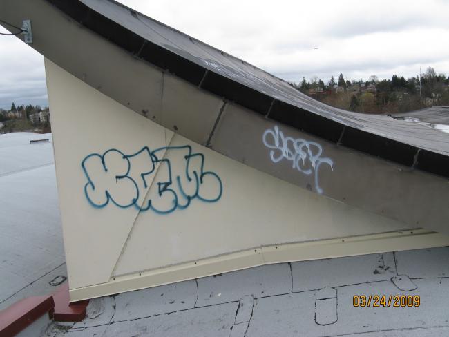 Sealth_.JPG