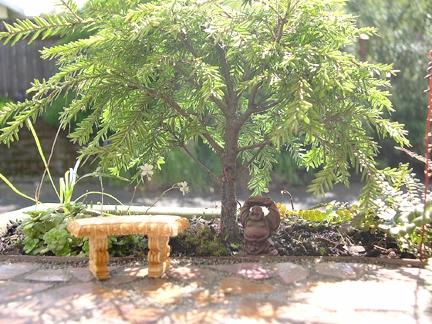 Start a mini garden.jpg