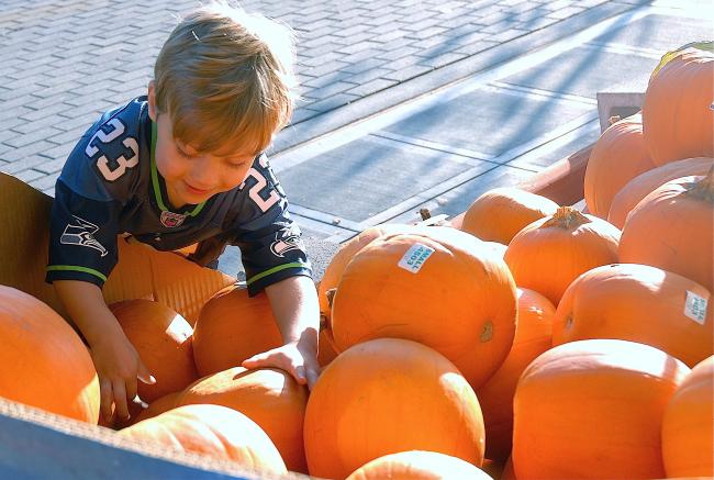 pumpkinkidxxxx.jpg