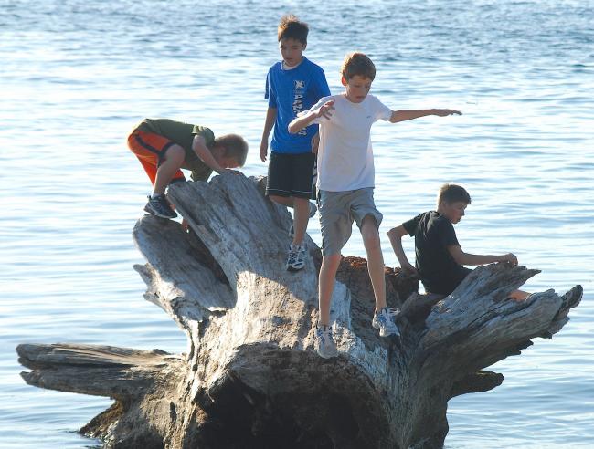boys on log.jpg