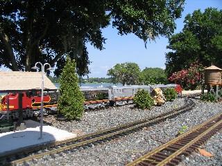 morning train  flower 021.jpg