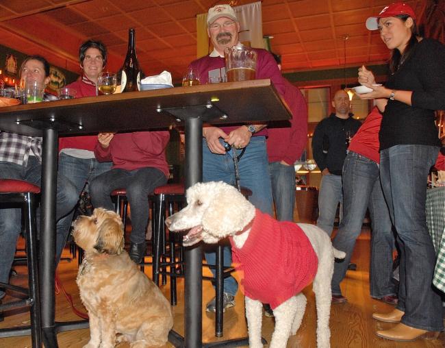 Dog-friendly bar photo.jpg