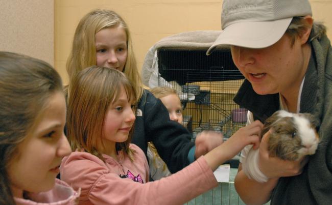 Animal Shelter bday party photo1.jpg
