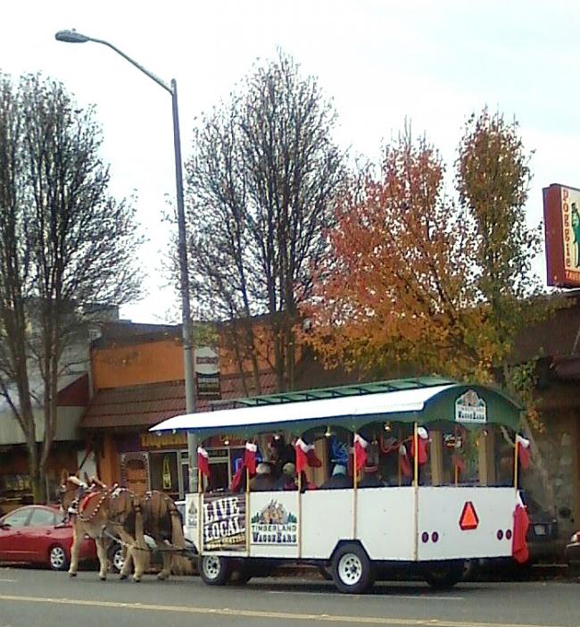 horsecarriage.jpg