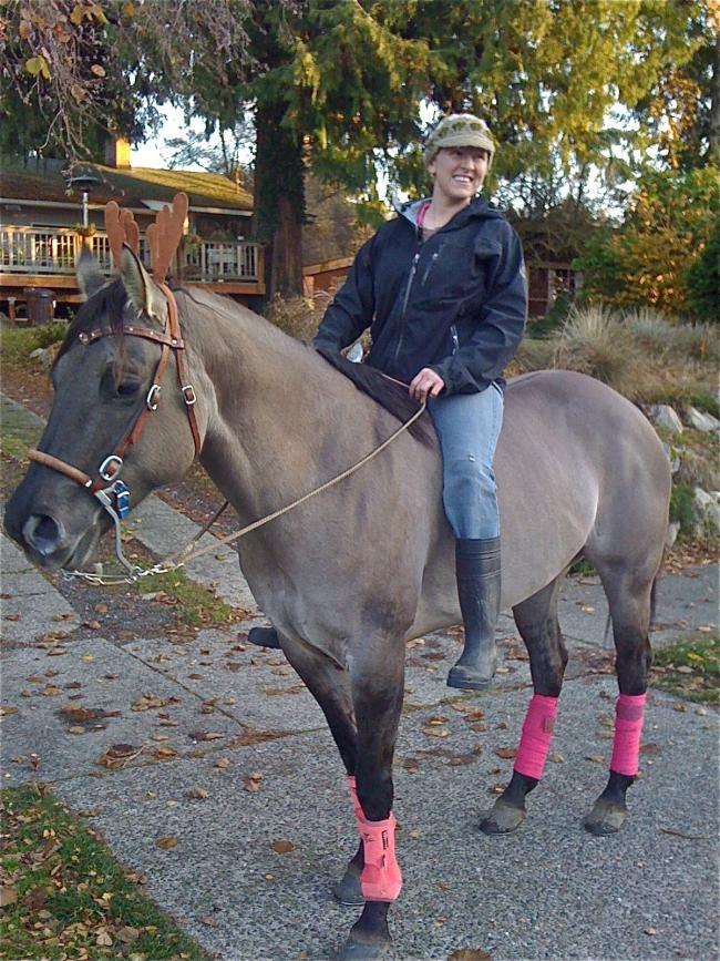 tobythehorse.jpg
