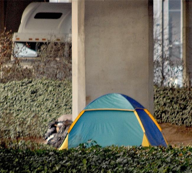 Homeless one night count photo.jpg