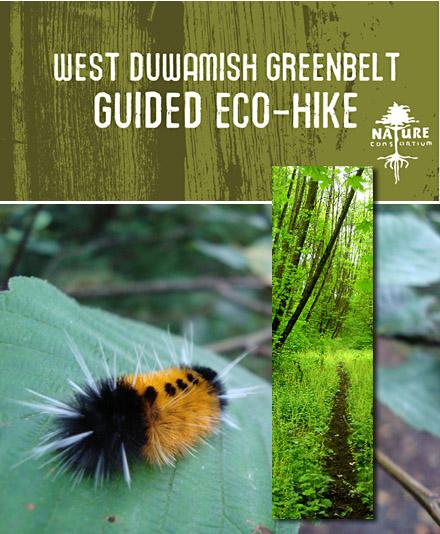 eco-Hike.jpg