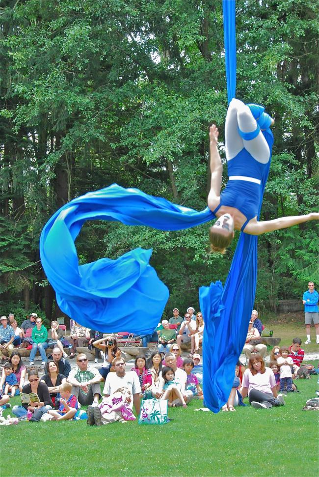 ArtsINnatureaerialist.jpg