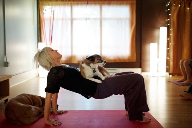 Doggy Yoga (11).jpg