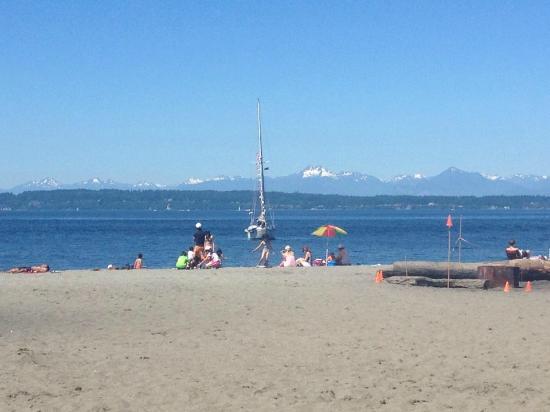 Is Golden Gardens Park Slipping Into The Sound Westside Seattle